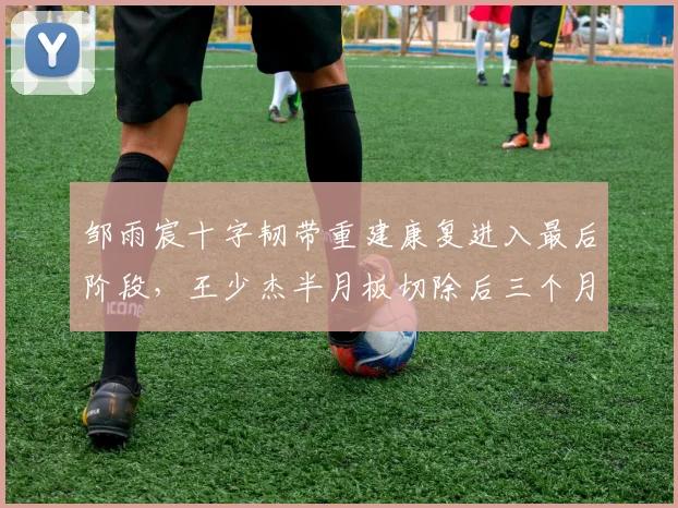 邹雨宸十字韧带重建康复进入最后阶段，王少杰半月板切除后三个月重返赛场