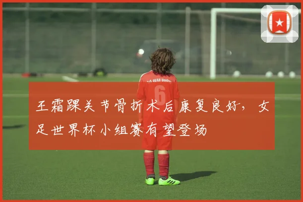 王霜踝关节骨折术后康复良好，女足世界杯小组赛有望登场